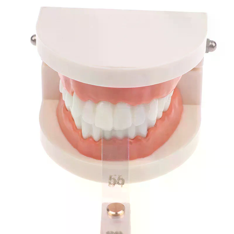 /ACR/Dental Interproximal Redu - Ruler Set Transparent ulasan dan harga
